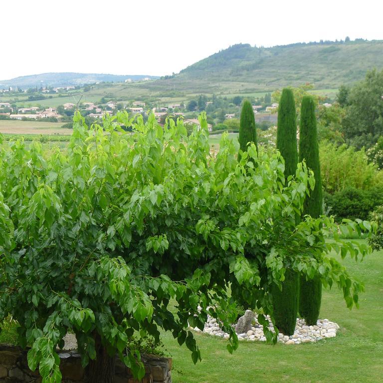 Domaine De La Manse Hotel Villeneuve-de-Berg Kültér fotó
