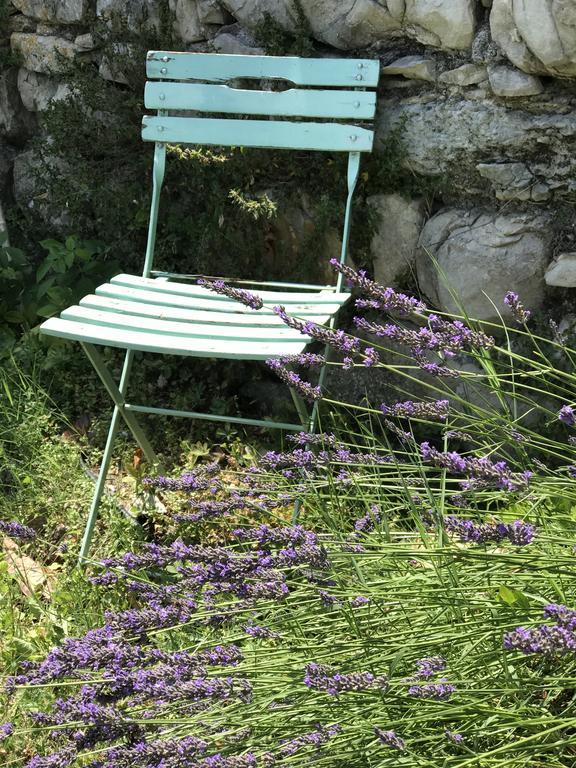 Domaine De La Manse Hotel Villeneuve-de-Berg Kültér fotó